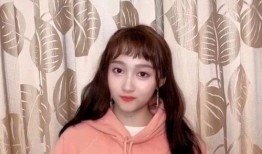 爆料鹿晗姐姐是谁啊视频,鹿晗姐姐身份之谜，视频爆料引发热议